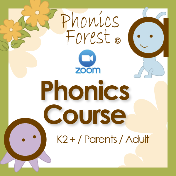 One-to-one phonics zoom lessons